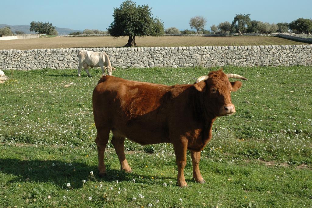 Agriturismo Il Melograno Cannizzara Exterior foto